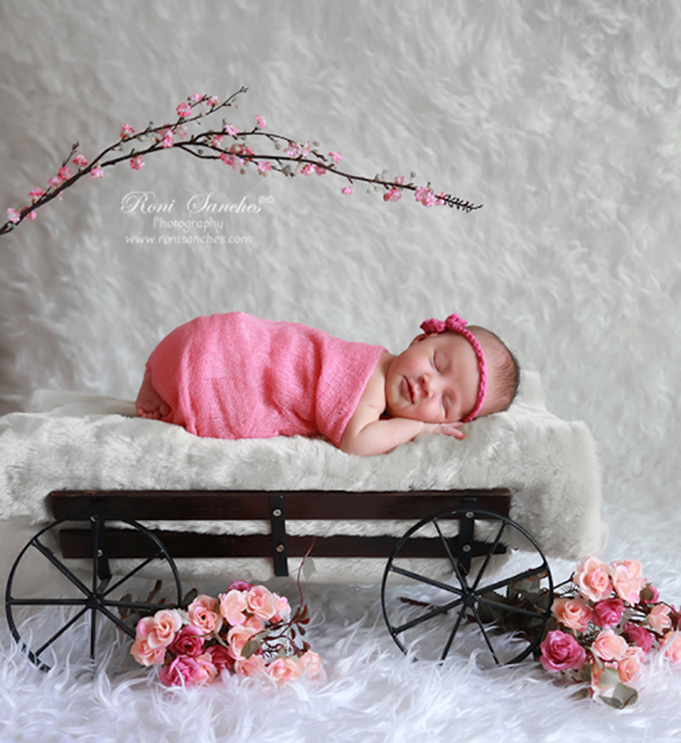 Blog IpsisPro carroça Ideias para ensaio newborn | Conheça fontes de inspiração para fazer fotos mais originais 